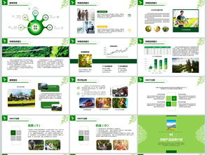 2018互聯(lián)網+農副產品市場推廣企業(yè)營銷策劃案